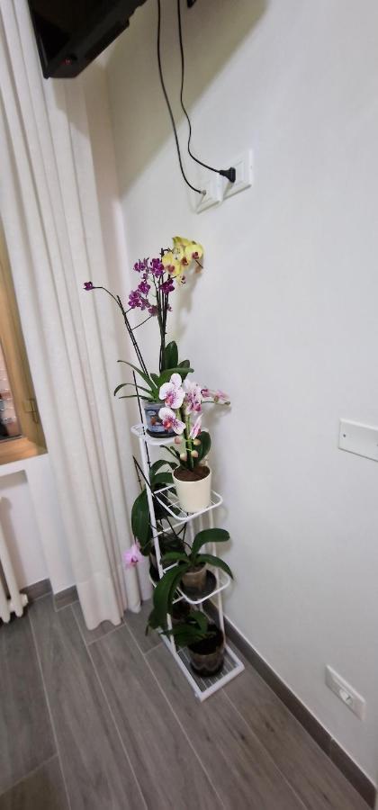 Orchidea Bed & Breakfast Bologna Ngoại thất bức ảnh